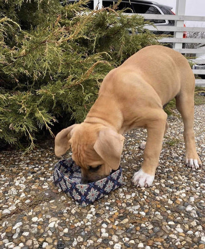 Customer review photo 7