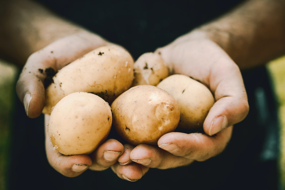 POTATIS – RÄDDAREN I NÖDEN